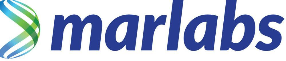 Marlabs Logo.jpg